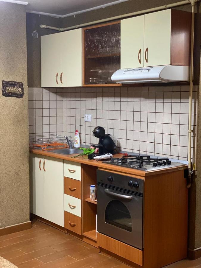 ピテシュティFriend'S Houseアパートメント エクステリア 写真