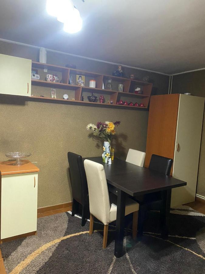 ピテシュティFriend'S Houseアパートメント エクステリア 写真